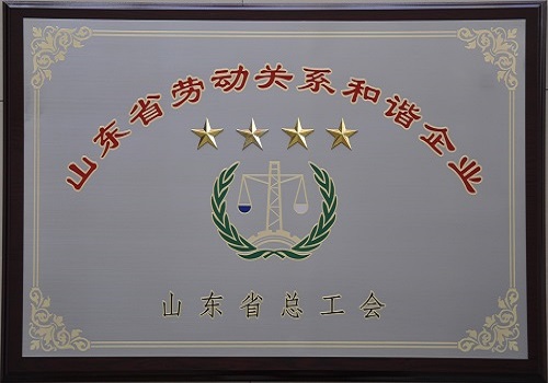 公司獲得“山東省勞動關(guān)系和諧企業(yè)”